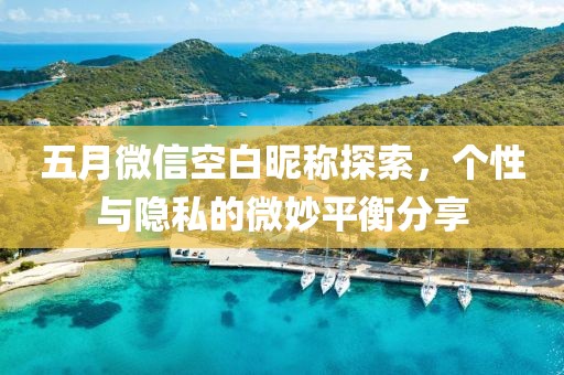 五月微信空白昵称探索，个性与隐私的微妙平衡分享