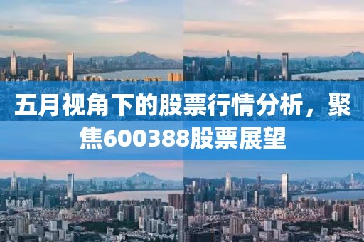 五月视角下的股票行情分析，聚焦600388股票展望