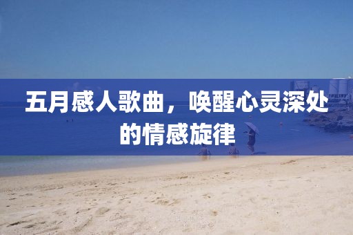 五月感人歌曲，唤醒心灵深处的情感旋律