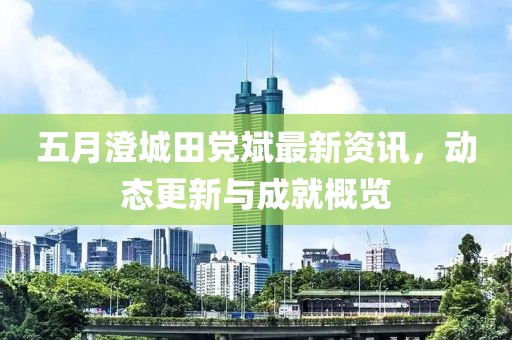 五月澄城田党斌最新资讯，动态更新与成就概览