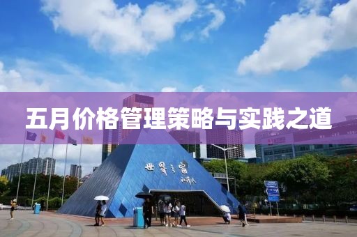 五月价格管理策略与实践之道