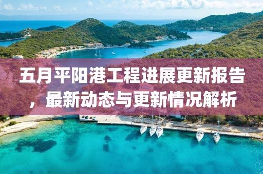 五月平阳港工程进展更新报告，最新动态与更新情况解析