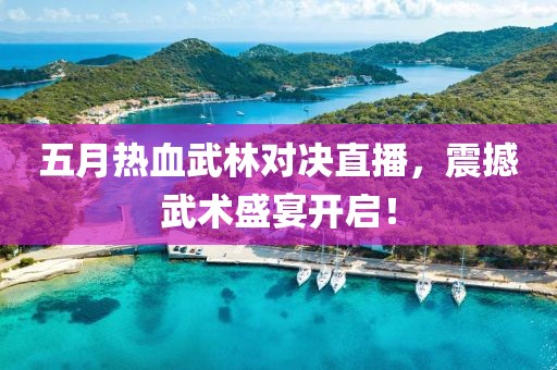 五月热血武林对决直播，震撼武术盛宴开启！