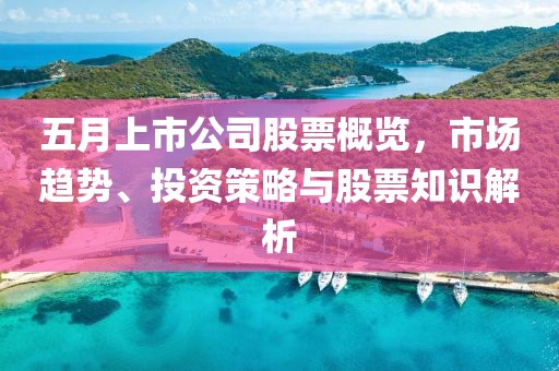 五月上市公司股票概览，市场趋势、投资策略与股票知识解析