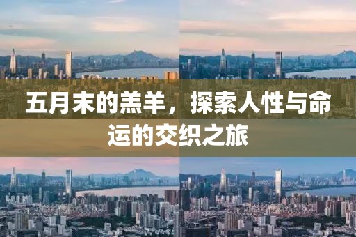 五月末的羔羊，探索人性与命运的交织之旅