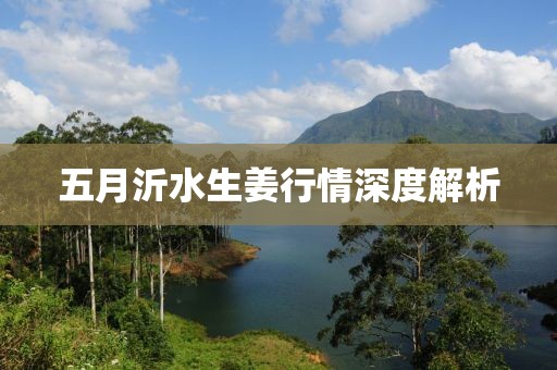 五月沂水生姜行情深度解析