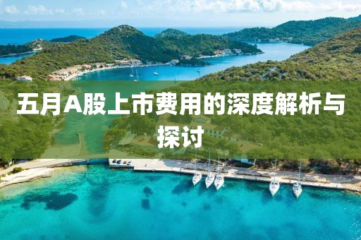 五月A股上市费用的深度解析与探讨