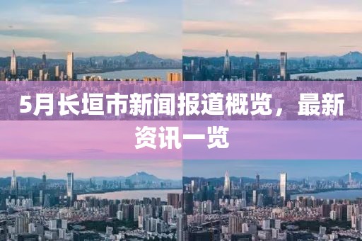 5月长垣市新闻报道概览，最新资讯一览