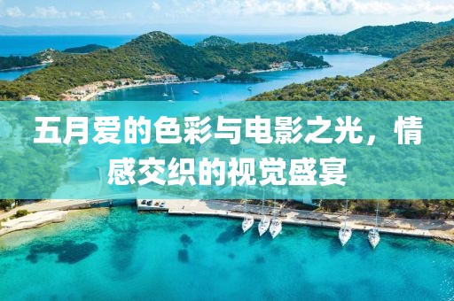 五月爱的色彩与电影之光，情感交织的视觉盛宴