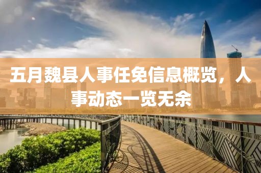 五月魏县人事任免信息概览，人事动态一览无余