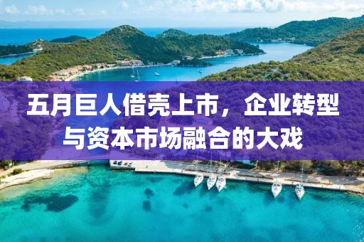 五月巨人借壳上市，企业转型与资本市场融合的大戏