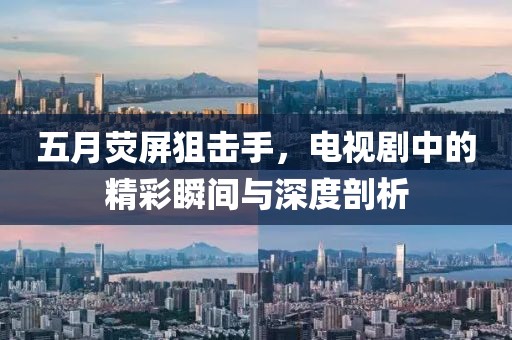 五月荧屏狙击手，电视剧中的精彩瞬间与深度剖析