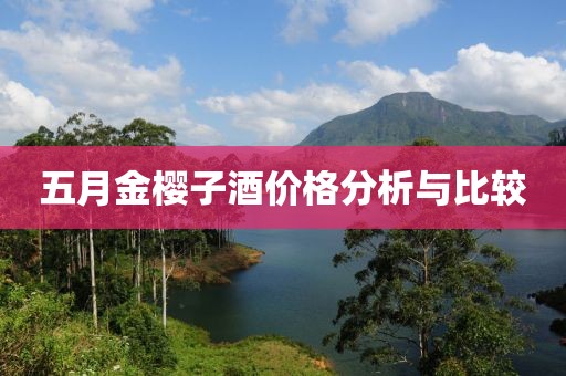 五月金樱子酒价格分析与比较