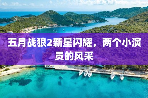 五月战狼2新星闪耀，两个小演员的风采