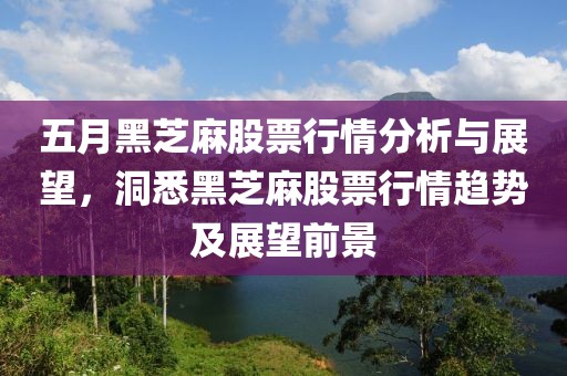 五月黑芝麻股票行情分析与展望，洞悉黑芝麻股票行情趋势及展望前景
