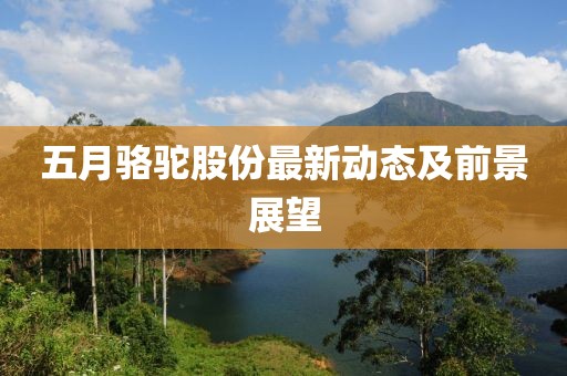 五月骆驼股份最新动态及前景展望