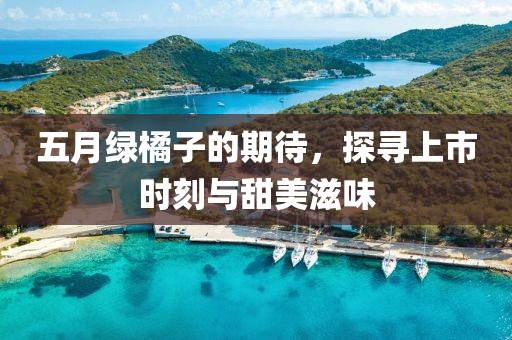 五月绿橘子的期待，探寻上市时刻与甜美滋味