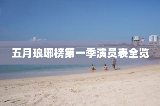 五月琅琊榜第一季演员表全览