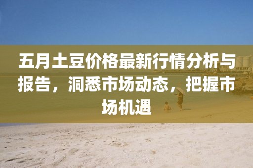 五月土豆价格最新行情分析与报告，洞悉市场动态，把握市场机遇