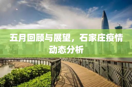五月回顾与展望，石家庄疫情动态分析