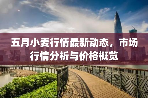 五月小麦行情最新动态，市场行情分析与价格概览