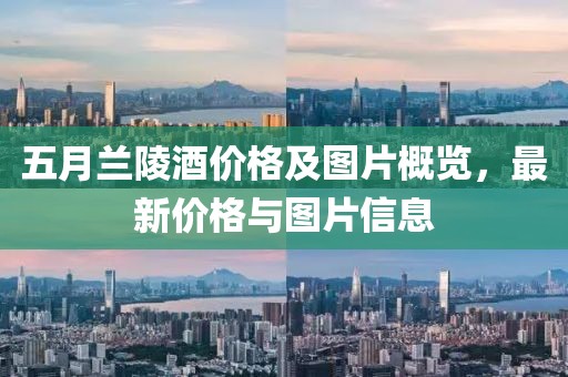 五月兰陵酒价格及图片概览，最新价格与图片信息