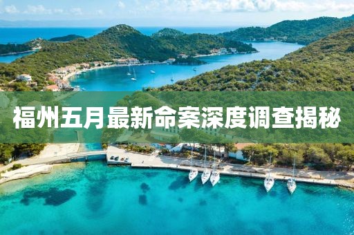 福州五月最新命案深度调查揭秘