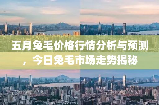 五月兔毛价格行情分析与预测，今日兔毛市场走势揭秘