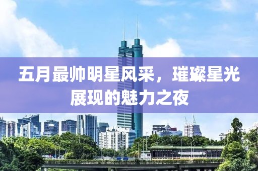 五月最帅明星风采，璀璨星光展现的魅力之夜