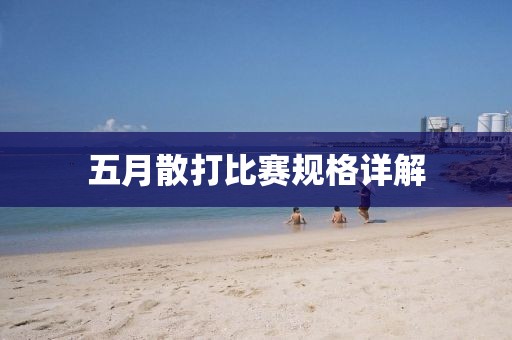 五月散打比赛规格详解