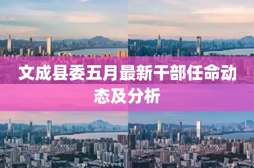 文成县委五月最新干部任命动态及分析