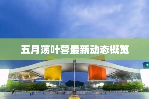 五月荡叶蓉最新动态概览