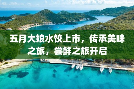 五月大娘水饺上市，传承美味之旅，尝鲜之旅开启