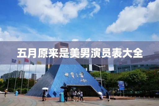 五月原来是美男演员表大全