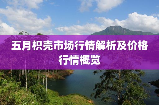 五月枳壳市场行情解析及价格行情概览