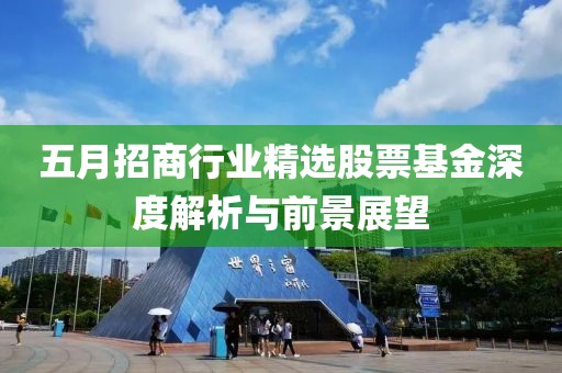 五月招商行业精选股票基金深度解析与前景展望