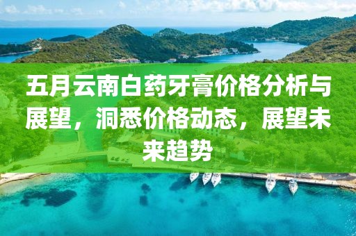 五月云南白药牙膏价格分析与展望，洞悉价格动态，展望未来趋势