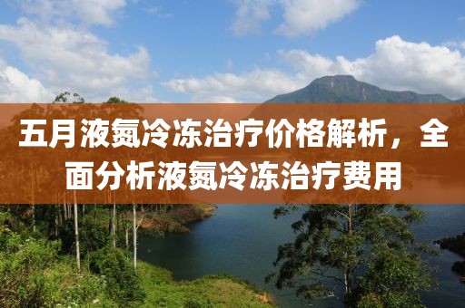 五月液氮冷冻治疗价格解析，全面分析液氮冷冻治疗费用