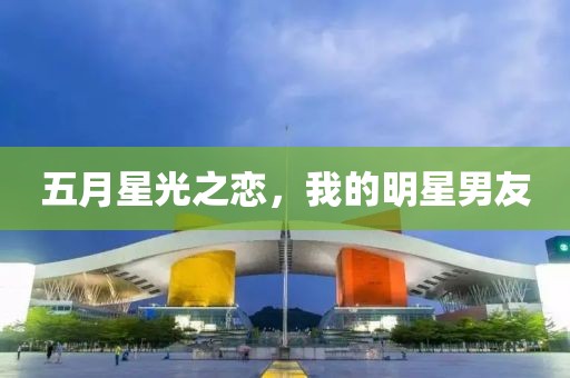 五月星光之恋，我的明星男友