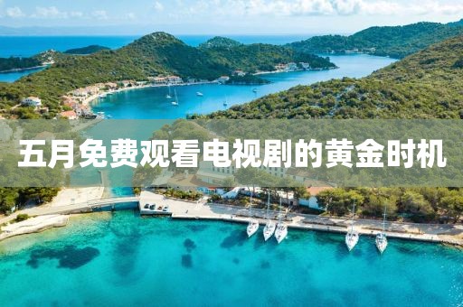 五月免费观看电视剧的黄金时机