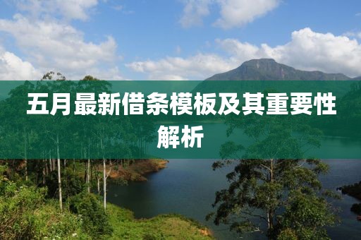 五月最新借条模板及其重要性解析
