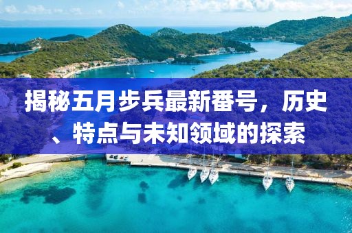 揭秘五月步兵最新番号，历史、特点与未知领域的探索