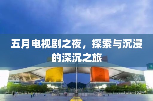 五月电视剧之夜，探索与沉浸的深沉之旅
