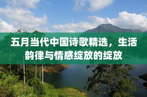 五月当代中国诗歌精选，生活韵律与情感绽放的绽放