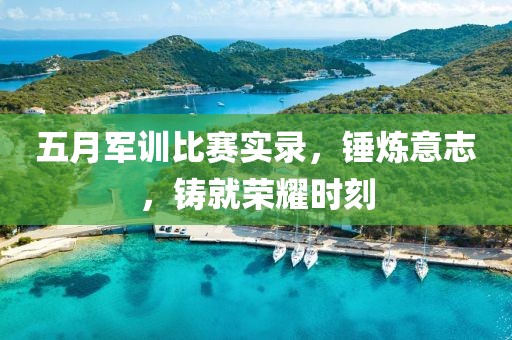 五月军训比赛实录，锤炼意志，铸就荣耀时刻