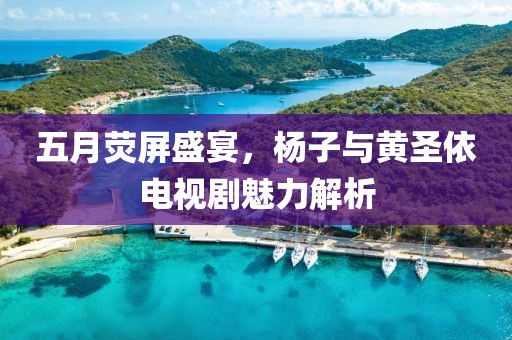 五月荧屏盛宴，杨子与黄圣依电视剧魅力解析