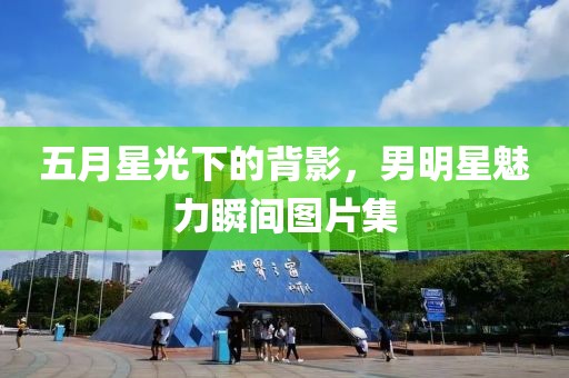 五月星光下的背影，男明星魅力瞬间图片集