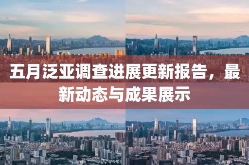 五月泛亚调查进展更新报告，最新动态与成果展示