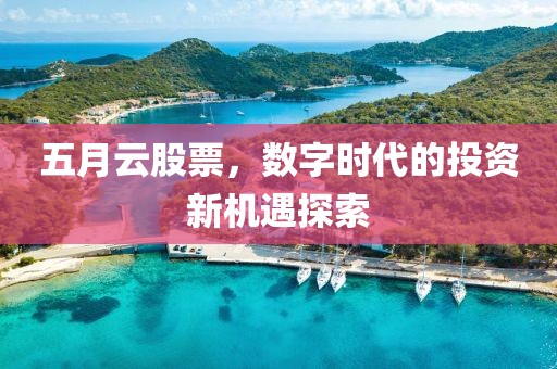 五月云股票，数字时代的投资新机遇探索