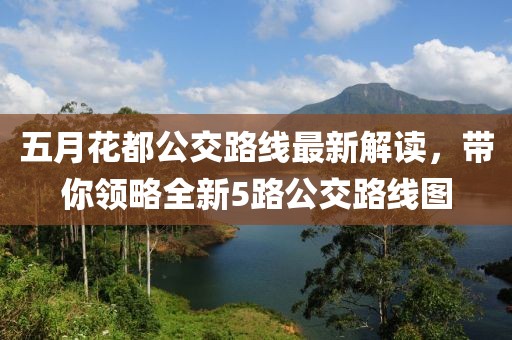 五月花都公交路线最新解读，带你领略全新5路公交路线图